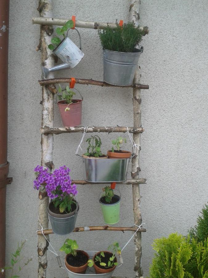Ferienwohnungen Hering Kleingiesshubel 外观 照片