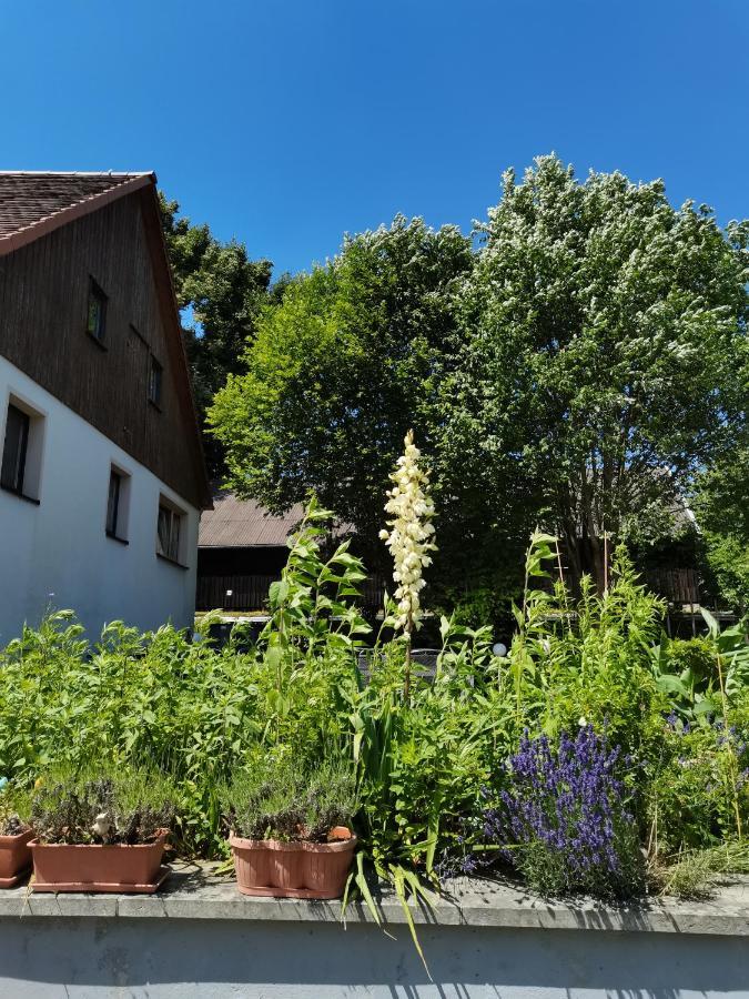 Ferienwohnungen Hering Kleingiesshubel 外观 照片